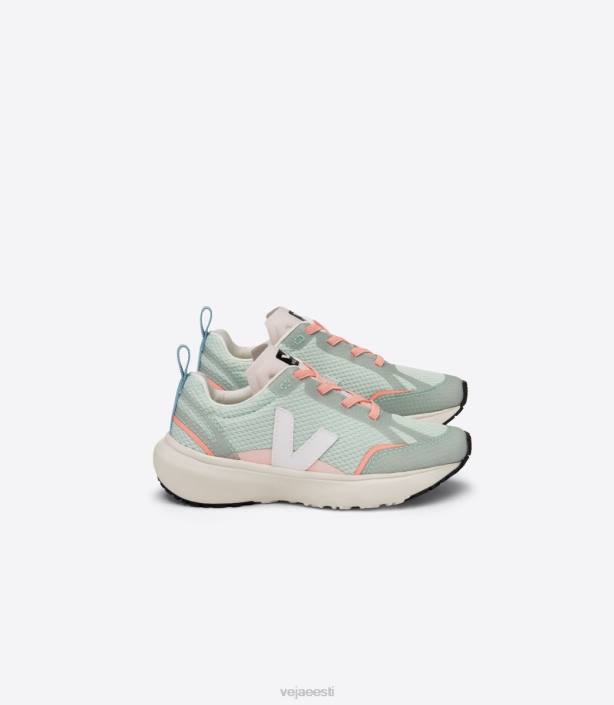 lapsed Veja kanaari elastsed paelad alveomesh matcha valge kingad 80LZ390