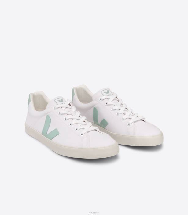 naised Veja esplar se lõuend valge matcha kingad 80LZ244