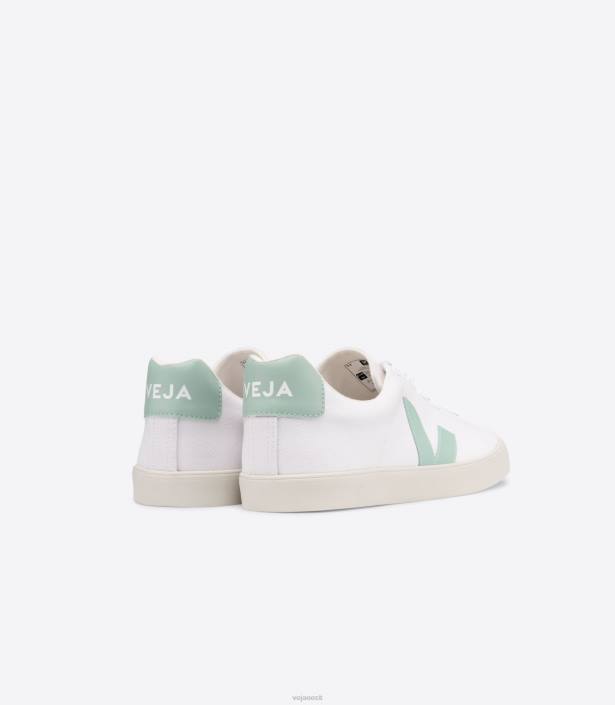 naised Veja esplar se lõuend valge matcha kingad 80LZ244